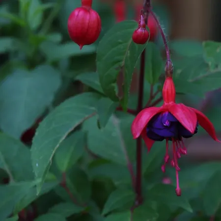 Jardin De Carrejo Hotel 3*