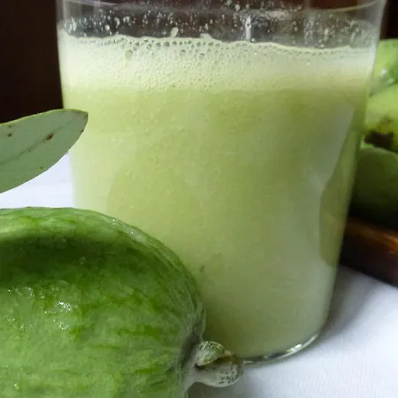 Hotel Jardin De Carrejo Cabezón de la Sal