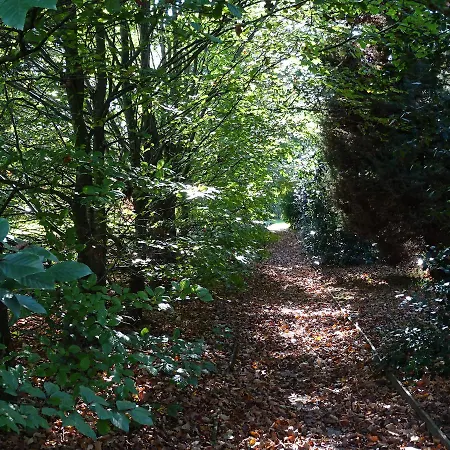 Hotel Jardin De Carrejo Cabezón de la Sal