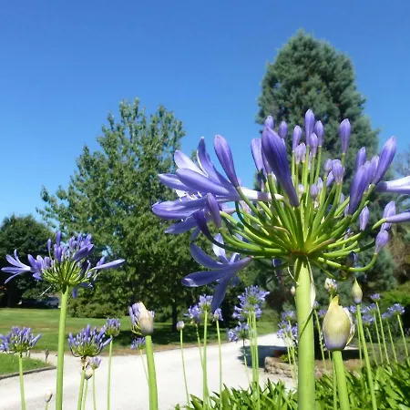 Jardin De Carrejo Hotel