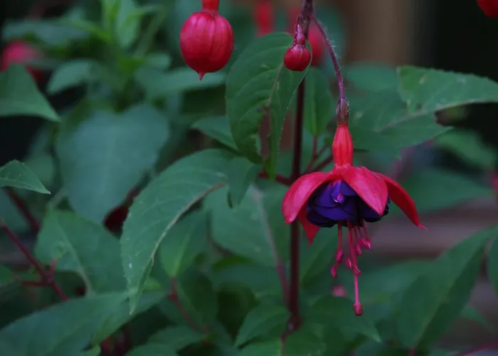 Jardin De Carrejo Hotel 3*