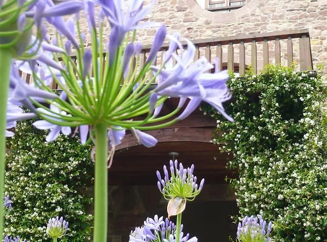 Jardin De Carrejo Cabezón de la Sal