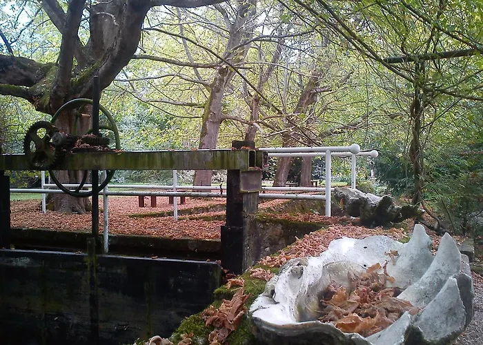 Jardin De Carrejo Hotel 3*