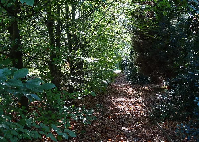 Hotel Jardin De Carrejo Cabezón de la Sal