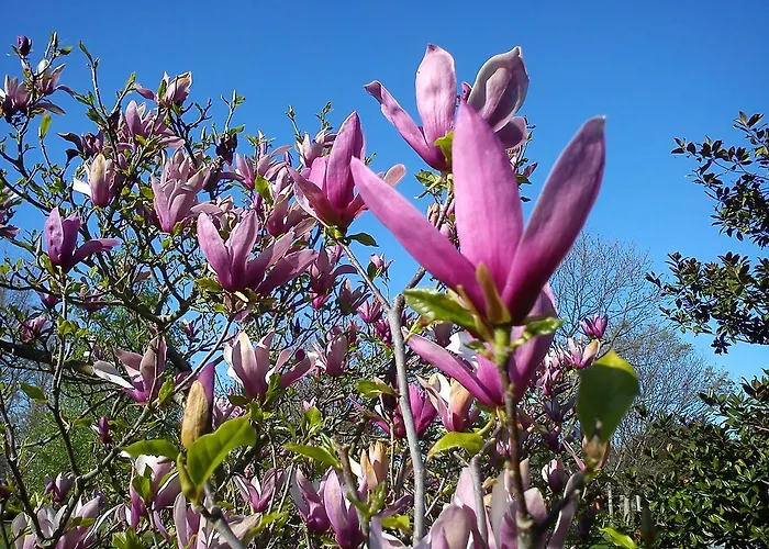 Jardin De Carrejo Hotel