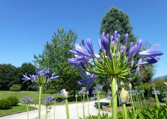 Jardin De Carrejo Hotel